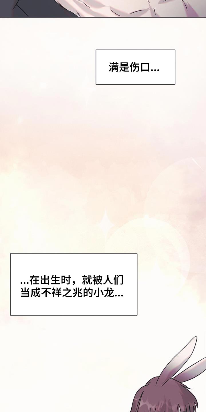 兔兔的小龙宝漫画,第48话1图