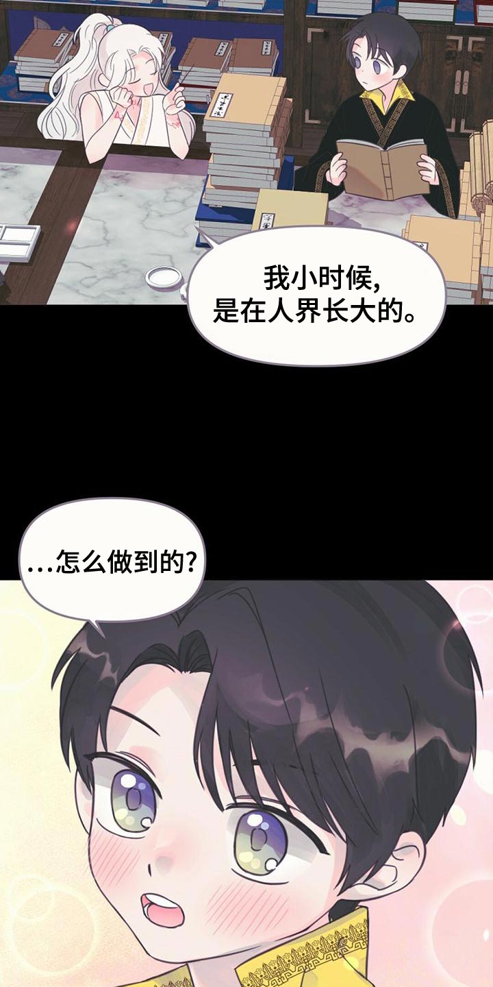 兔兔的小龙宝动漫漫画,第36话2图