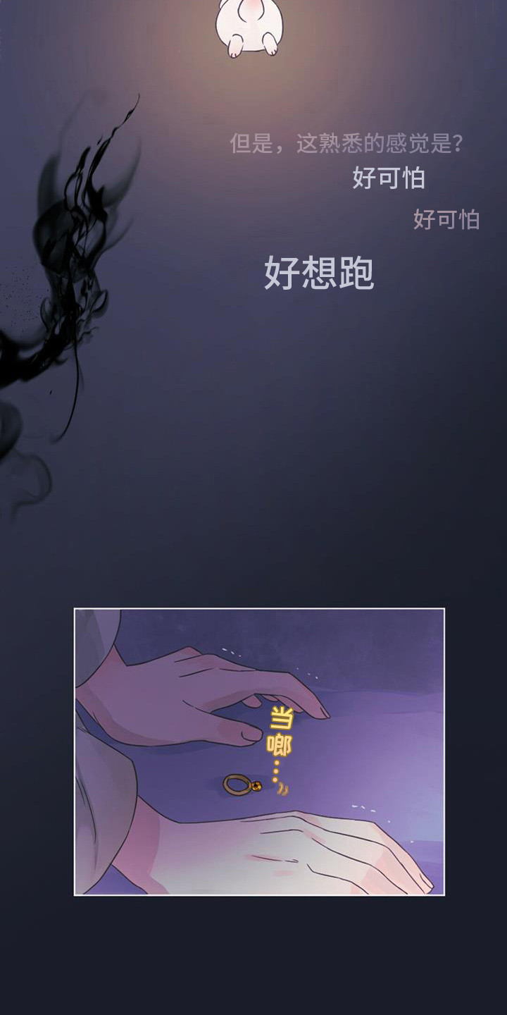 兔兔的小龙宝漫画,第8话2图