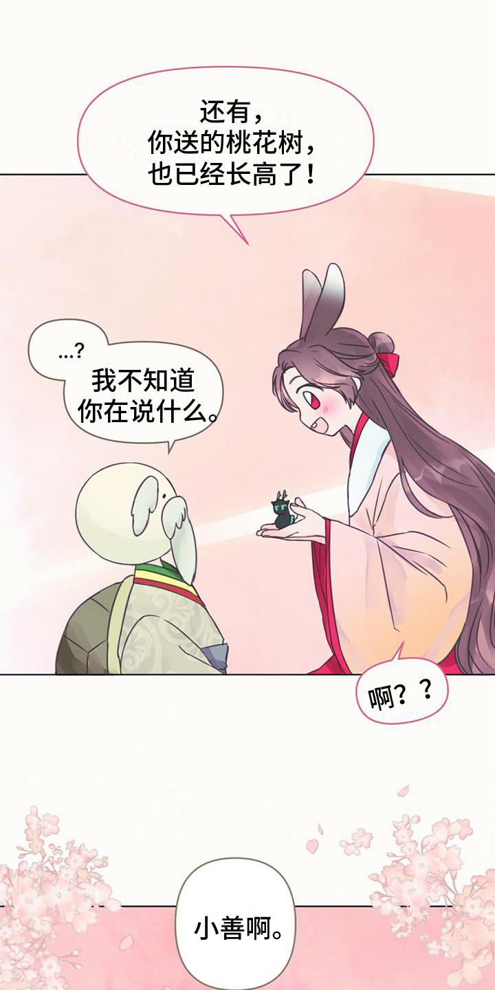 兔兔的拼音漫画,第6话1图