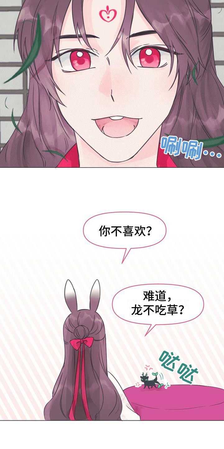 兔兔的小龙宝讲的什么漫画,第3话1图