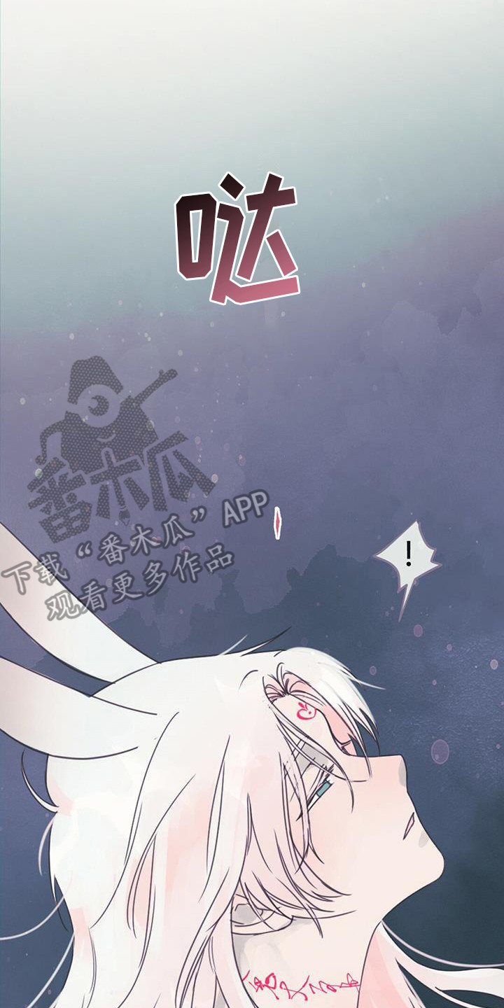 兔兔的小龙宝讲的什么漫画,第17话2图