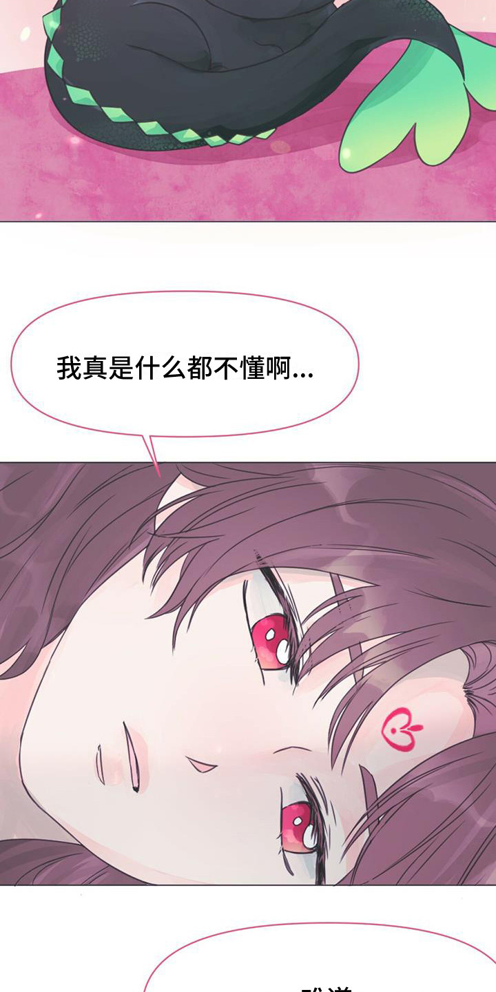 兔兔的小龙宝讲的什么漫画,第3话1图