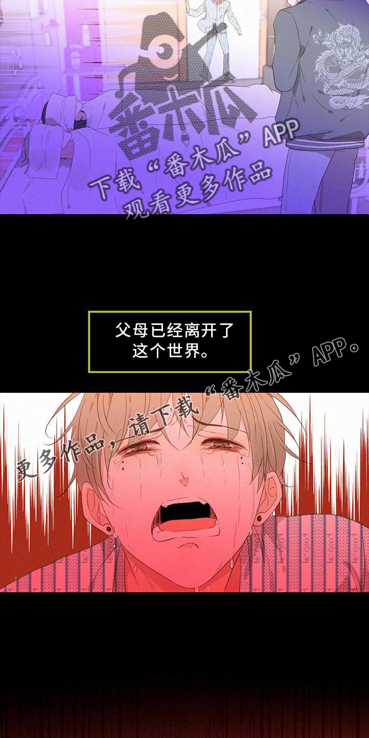 虚实交错的意思漫画,第37话1图