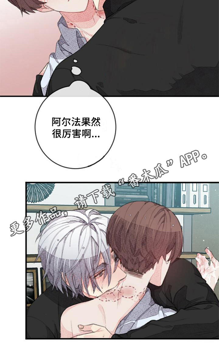 完美的助理讲什么内容漫画,第13话1图