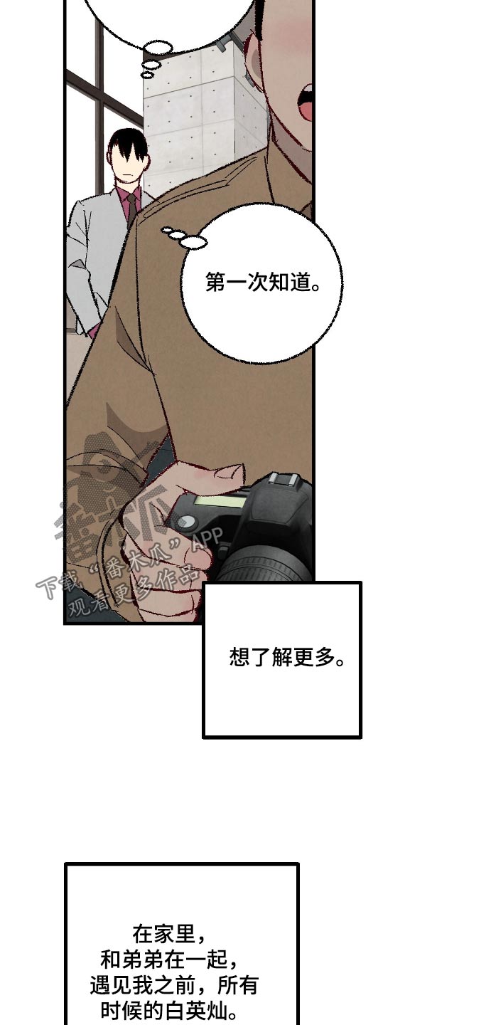 完美密友漫画讲什么漫画,第181话2图