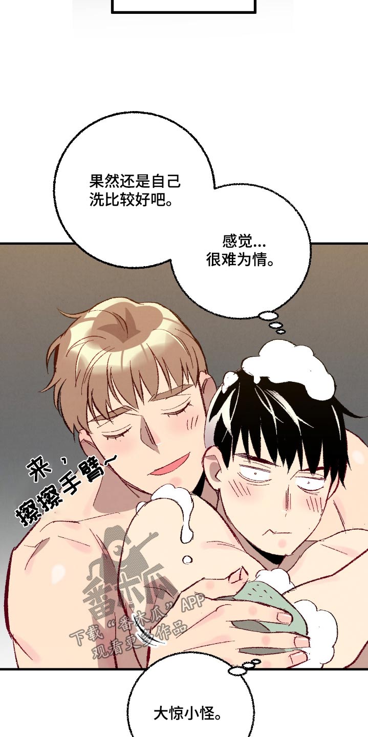 完美密友漫画讲什么漫画,第187话2图