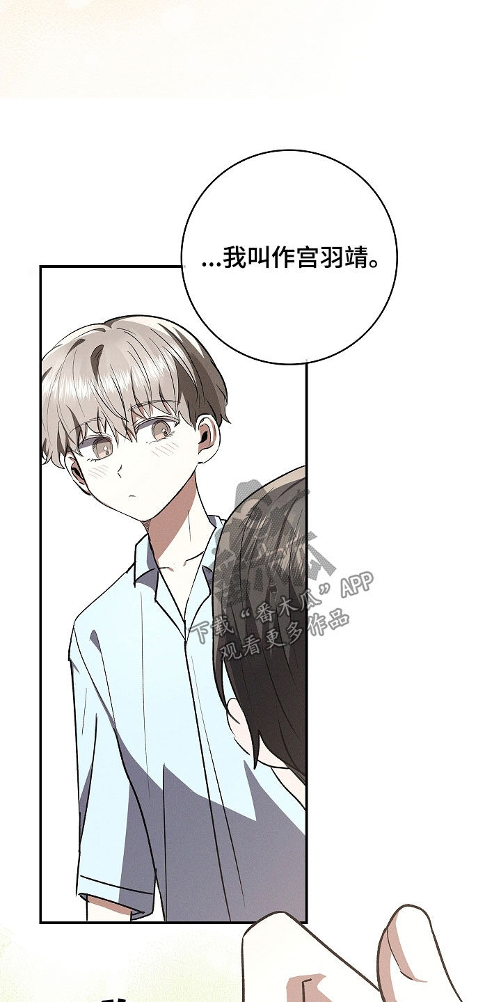 我的太子妃超凶的免费阅读漫画,第114话2图