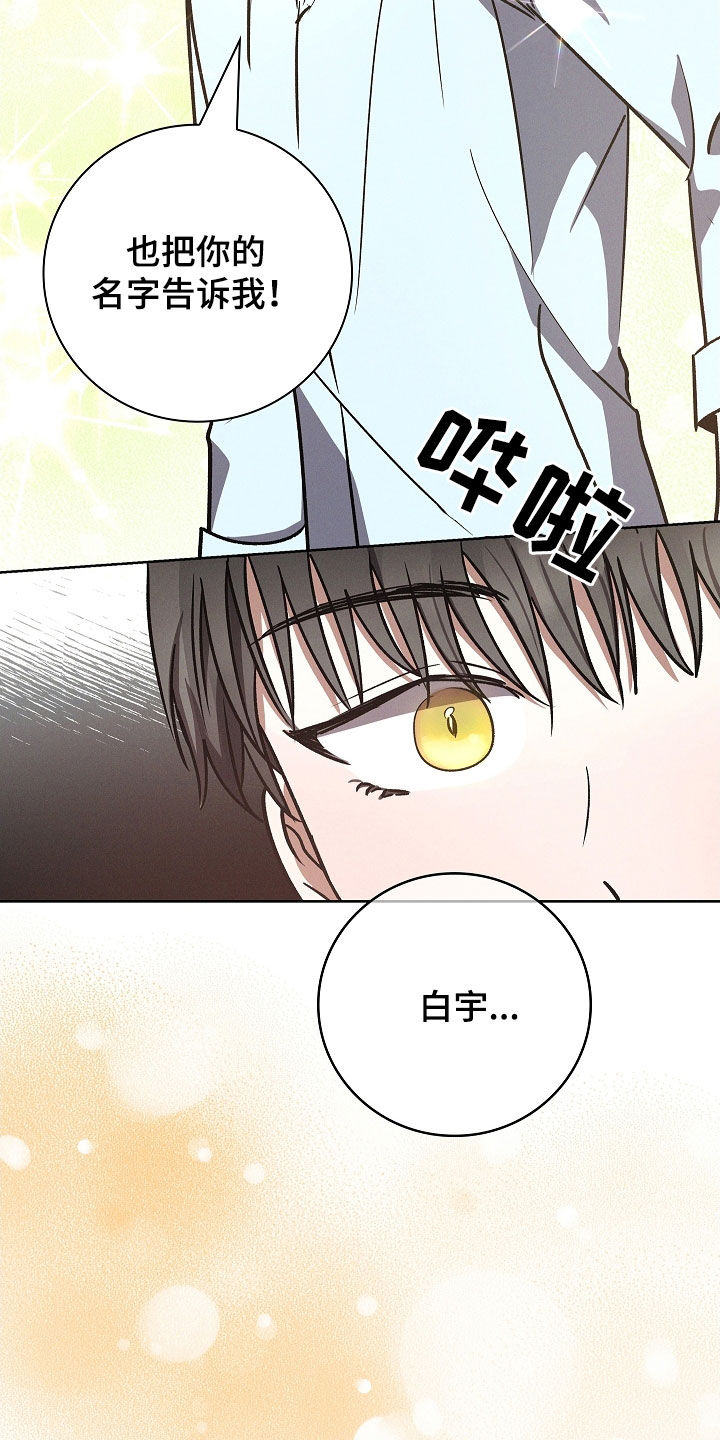 我的太子妃原名小说漫画,第114话2图