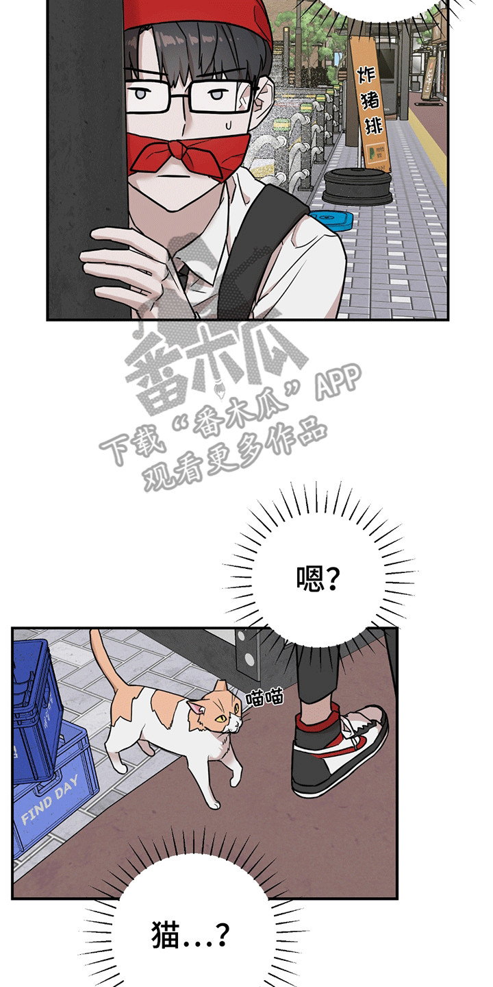 被不良资产处置公司起诉怎么办呢漫画,第11话2图