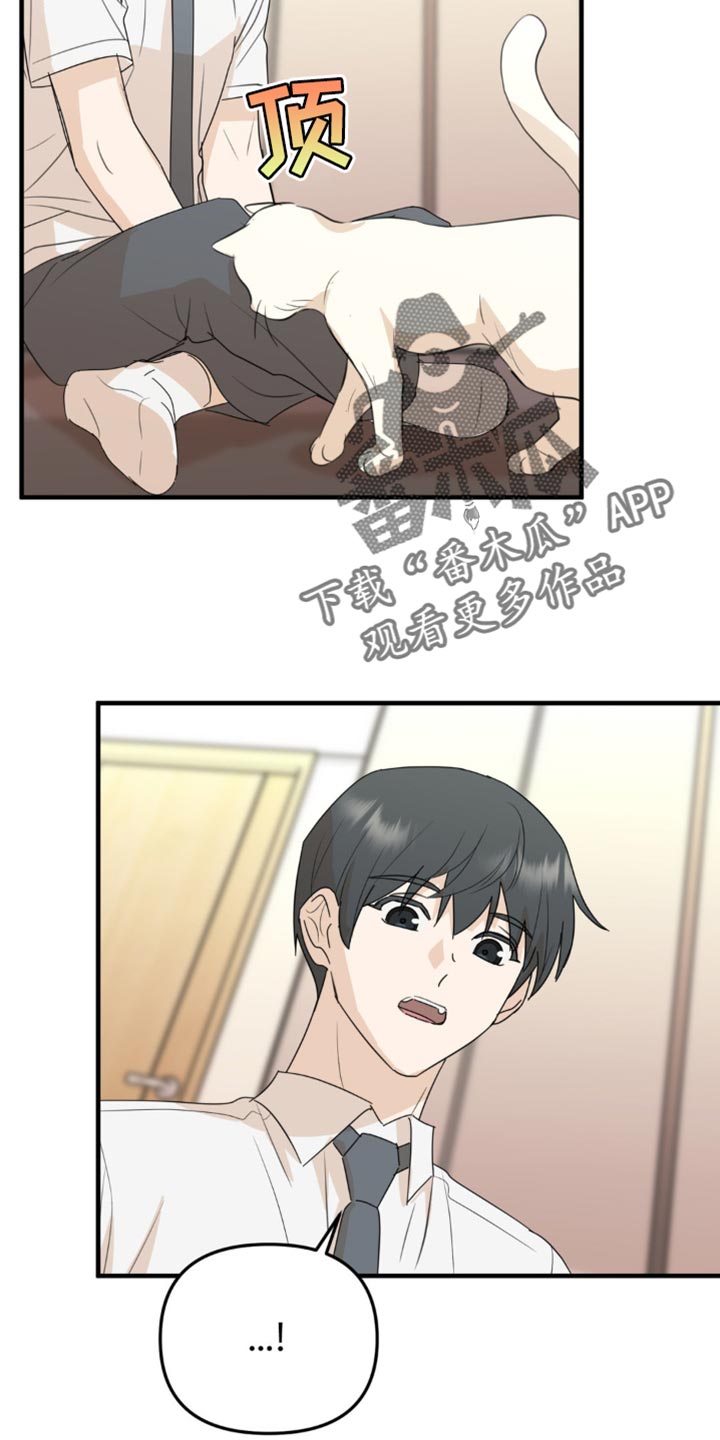 互补人生漫画,第62话2图