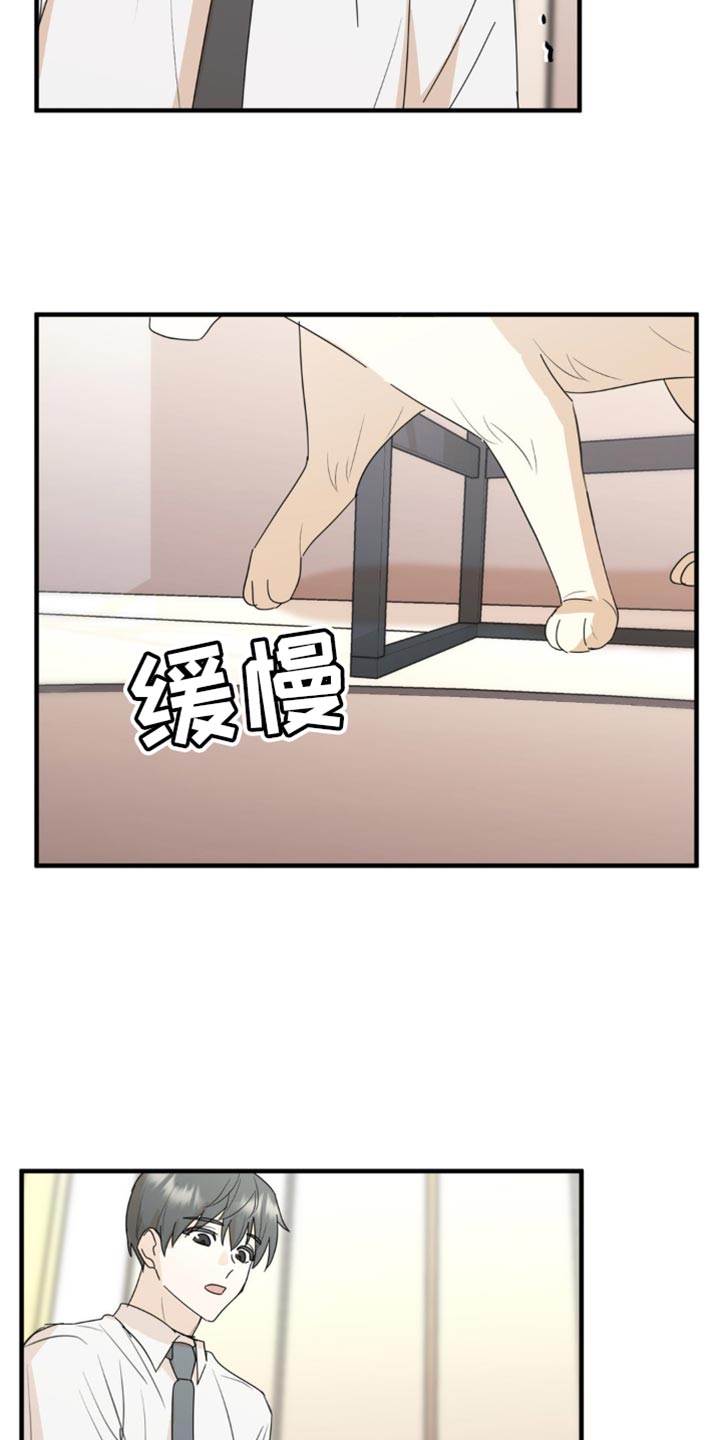 互补人生漫画,第62话1图