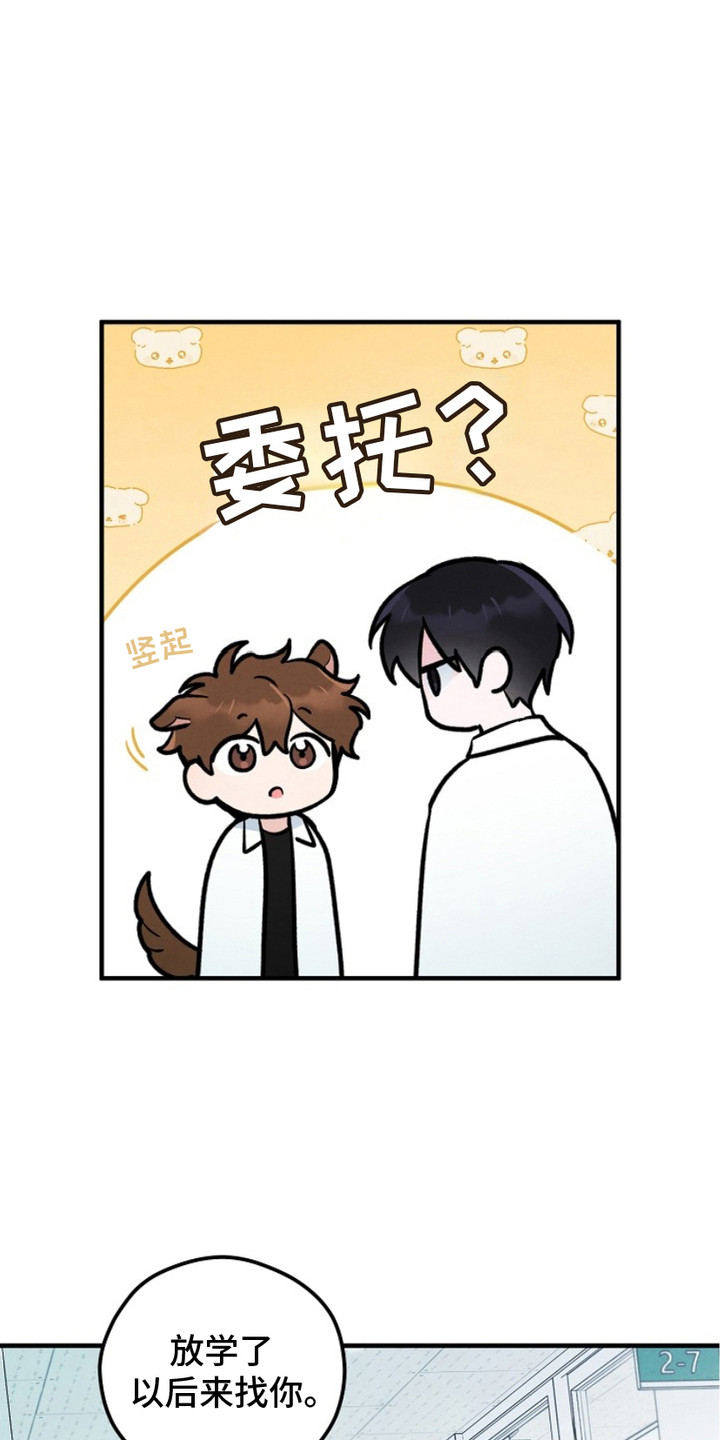 见习期工作小结漫画,第11话1图