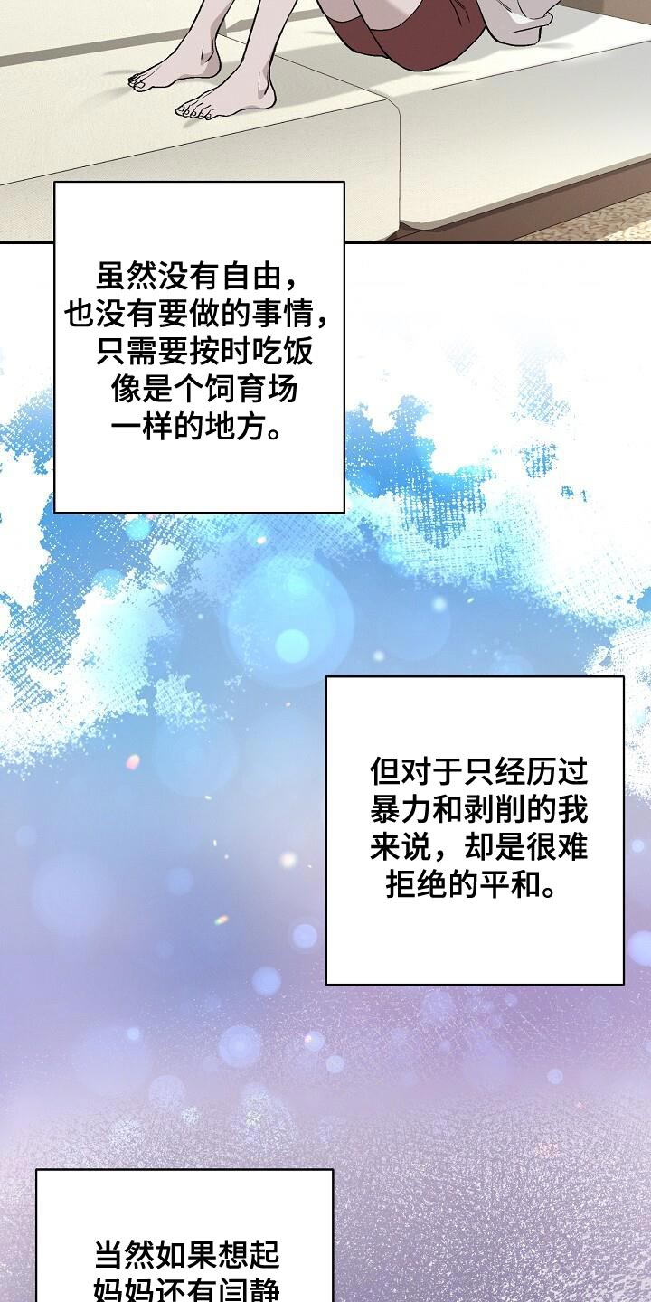 割裂的谎言漫画,第38话2图