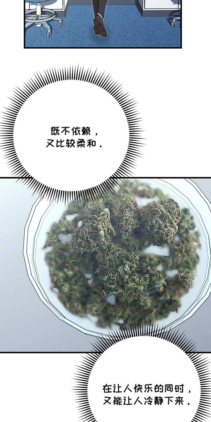割裂的谎言漫画,第68话2图