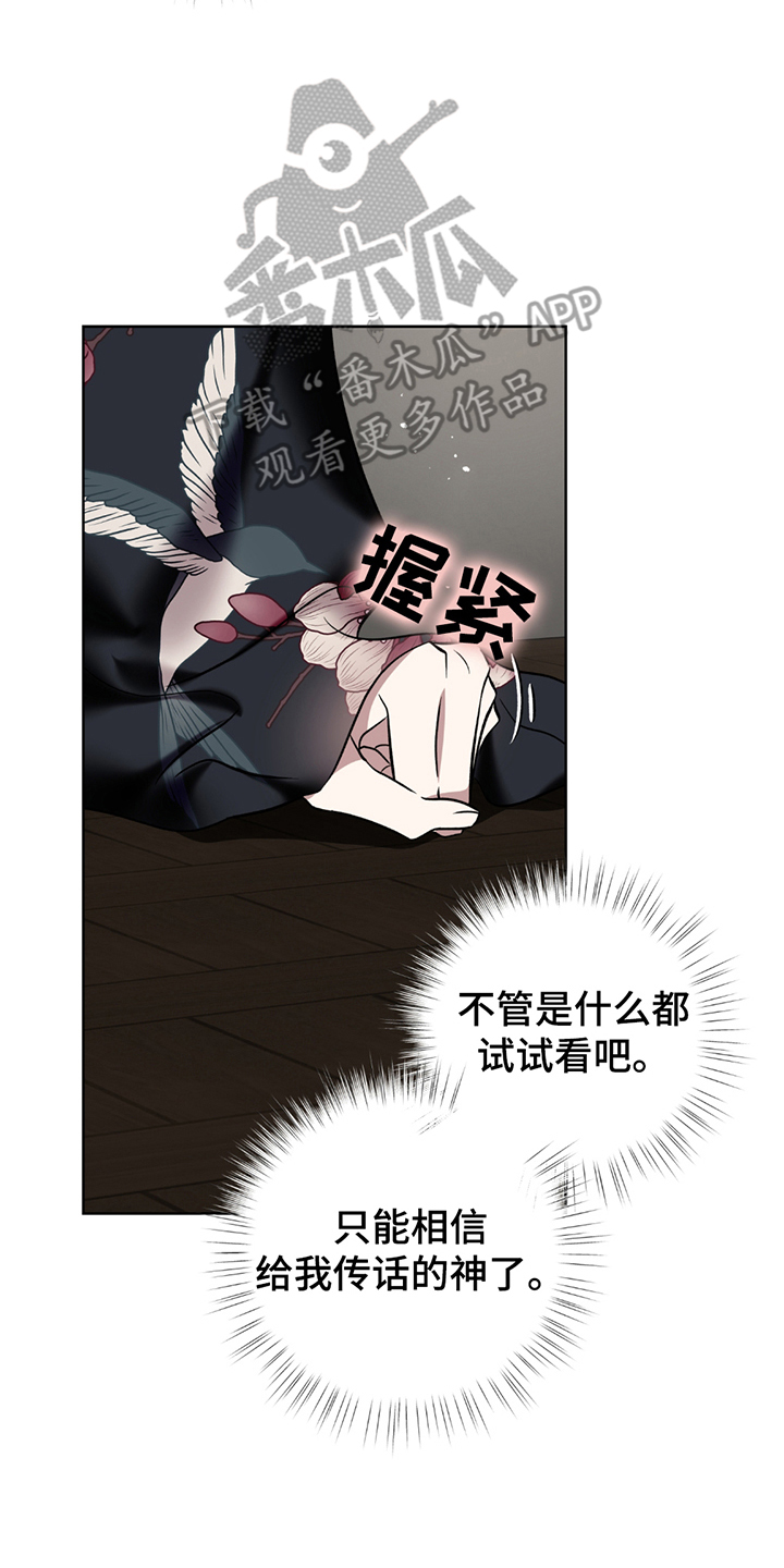 调查神明在线免费观看漫画,第8话2图