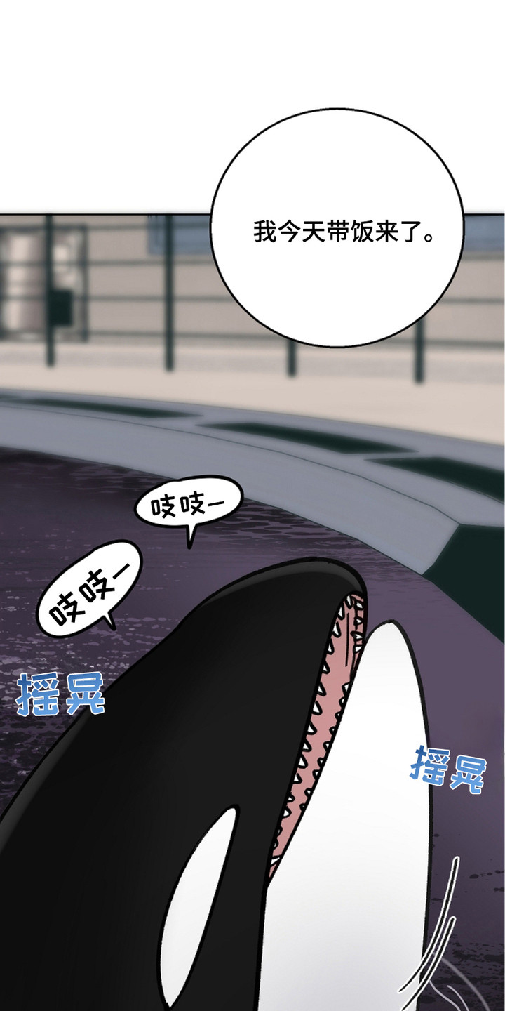 狩猎换药膏任务怎么做漫画,第26话1图