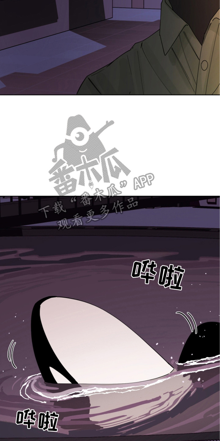 狩猎虎鲸漫画,第12话1图