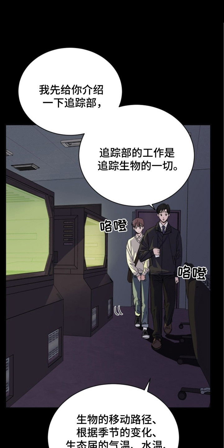 狩猎换药膏任务怎么做漫画,第3话1图