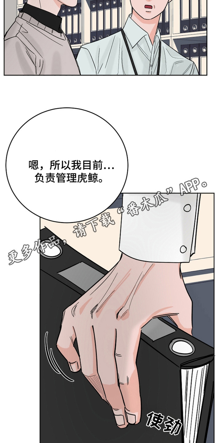 狩猎虎鲸漫画,第23话1图