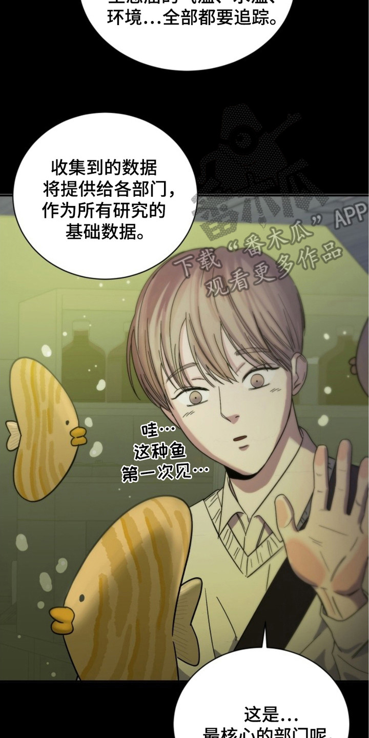 狩猎换药膏任务怎么做漫画,第3话2图