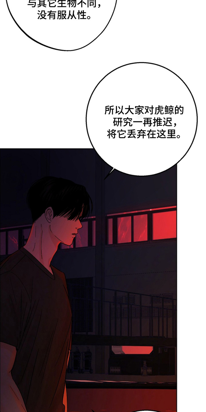 狩猎虎鲸漫画,第18话1图