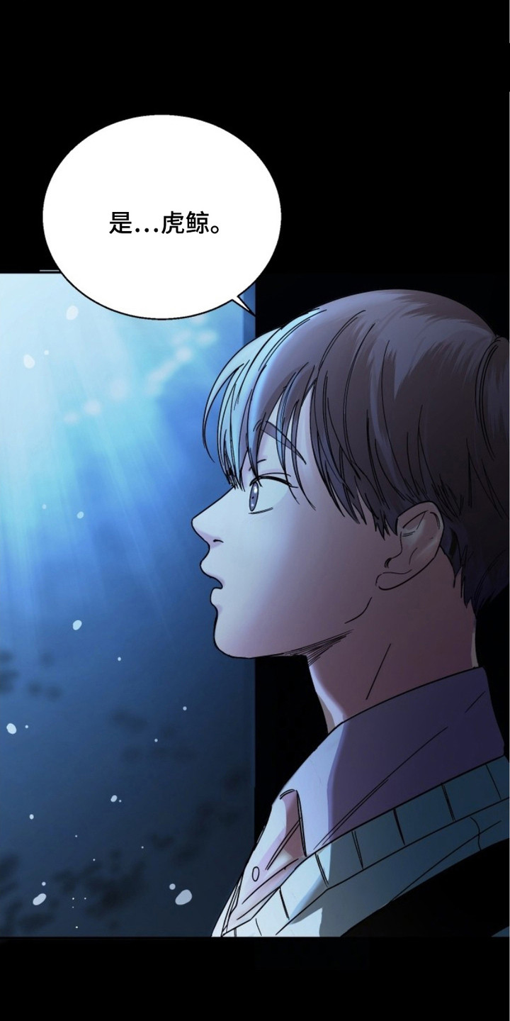 狩猎虎鲸漫画,第3话1图