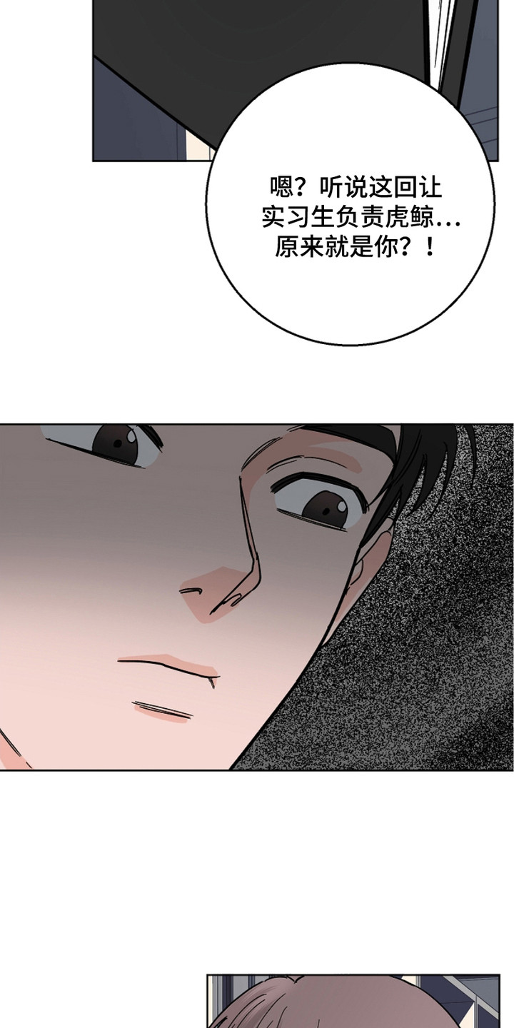 狩猎虎鲸漫画,第23话2图