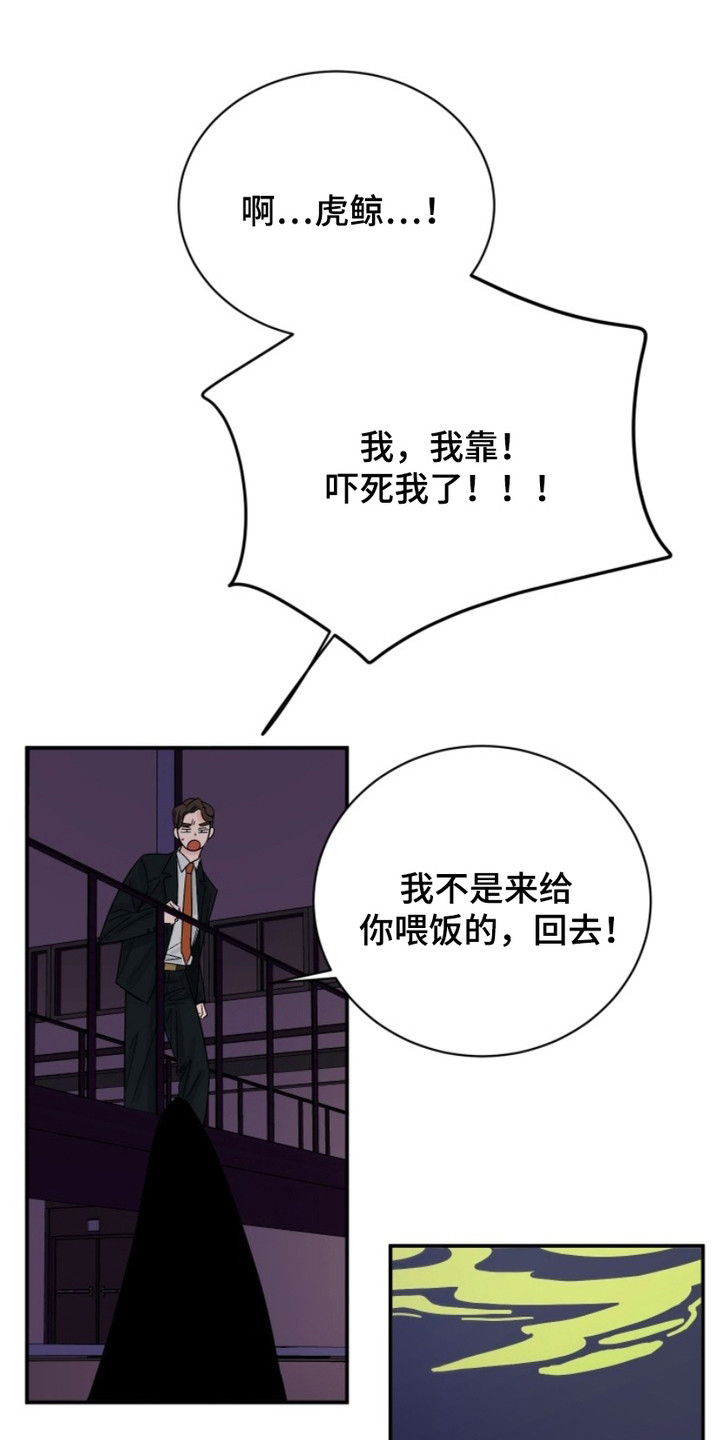 狩猎虎鲸漫画,第2话1图