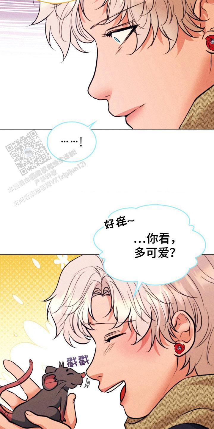 歌剧邪影漫画免费观看完整版漫画,第21话1图