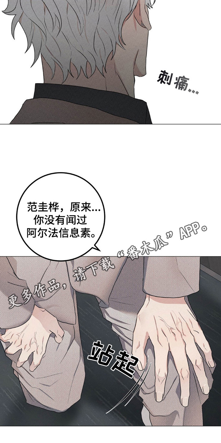 迟来的爱完整版原唱漫画,第5话1图