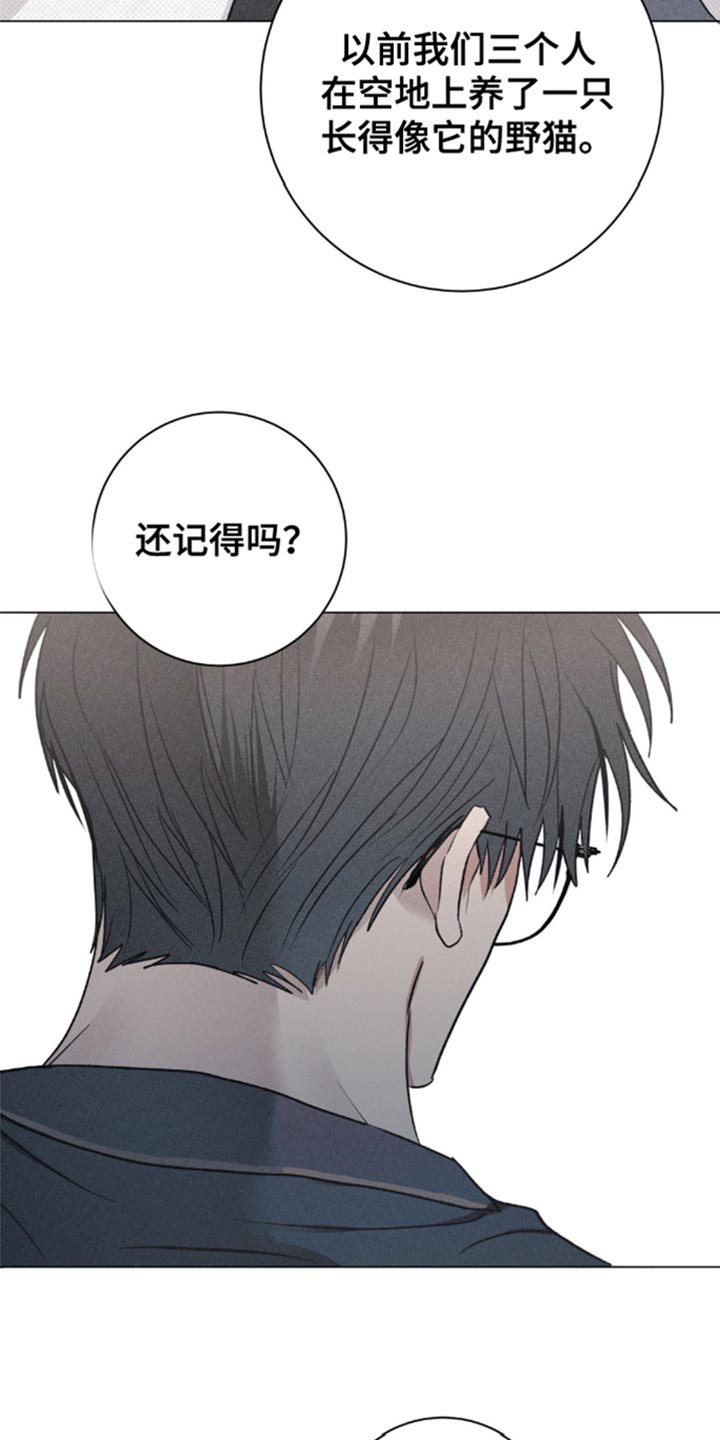 迟来的伴侣漫画漫画,第31话1图