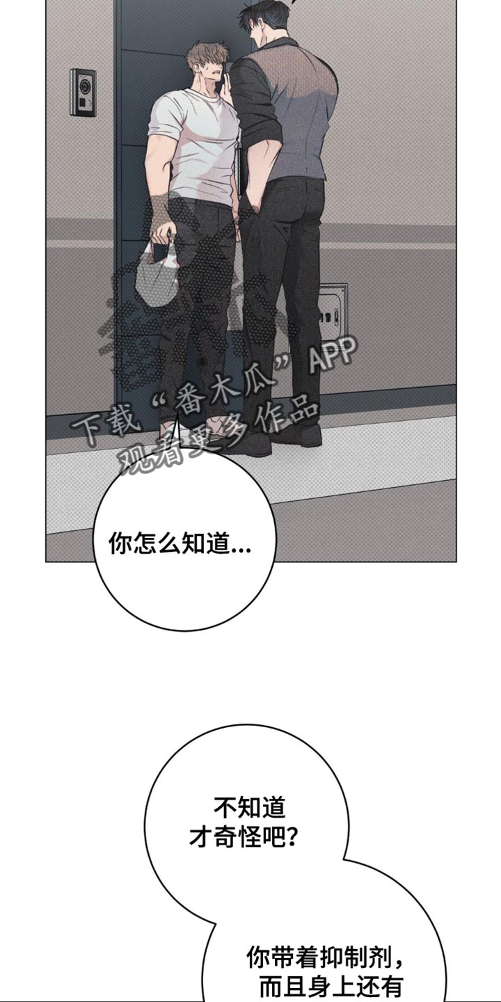 迟来的伴侣韩漫别名漫画,第17话1图