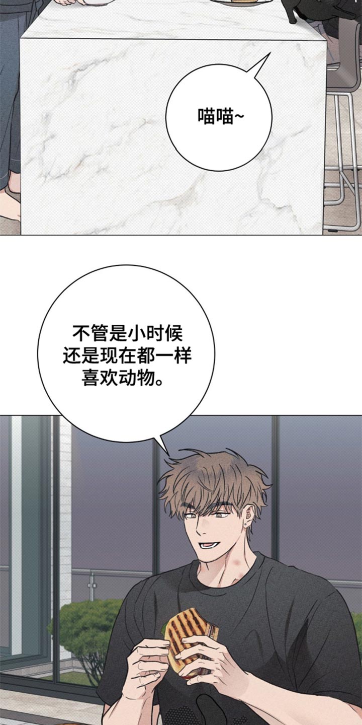 迟来的伴侣漫画漫画,第31话1图