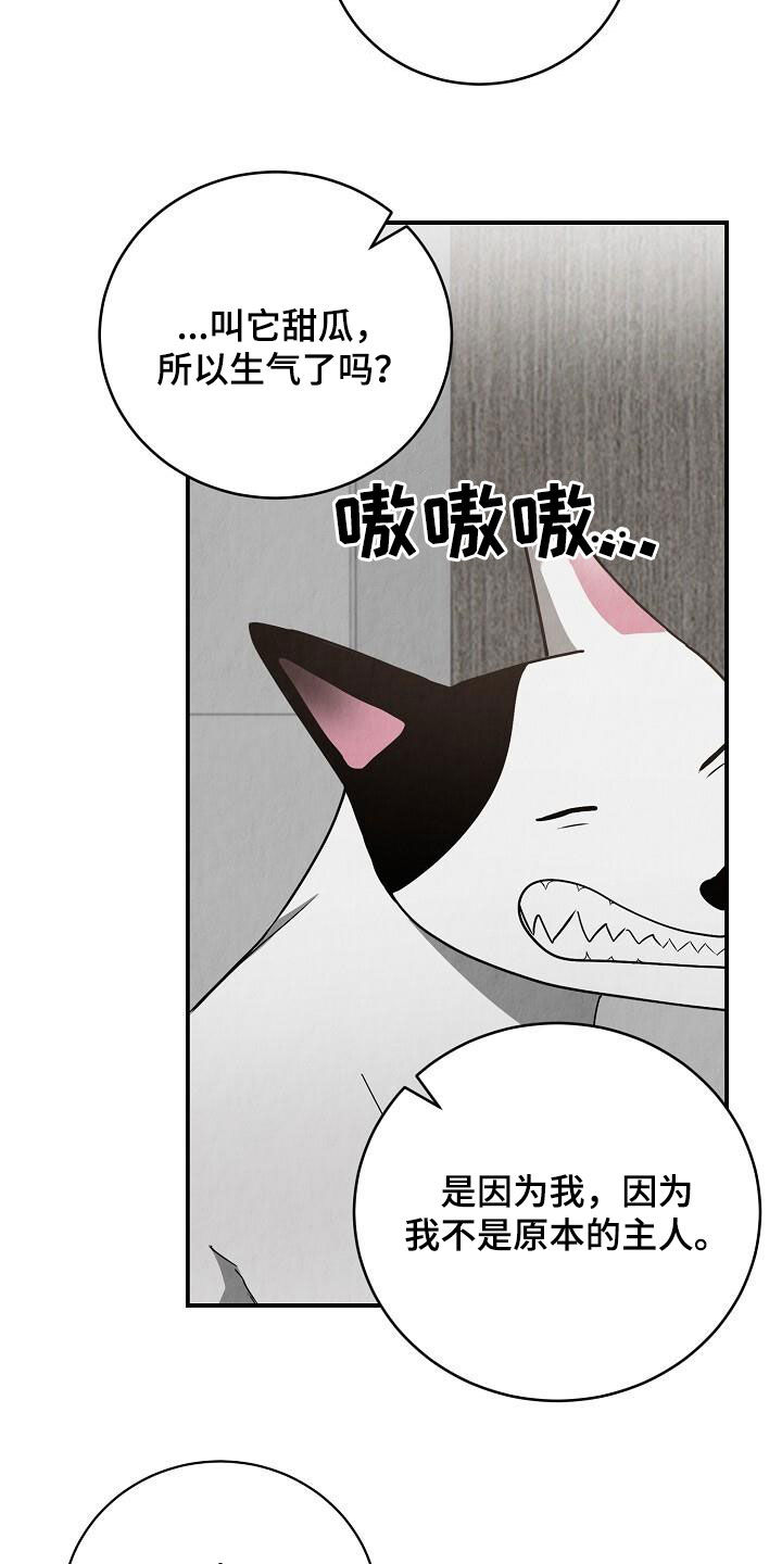 社畜的搞笑生活漫画,第44话1图