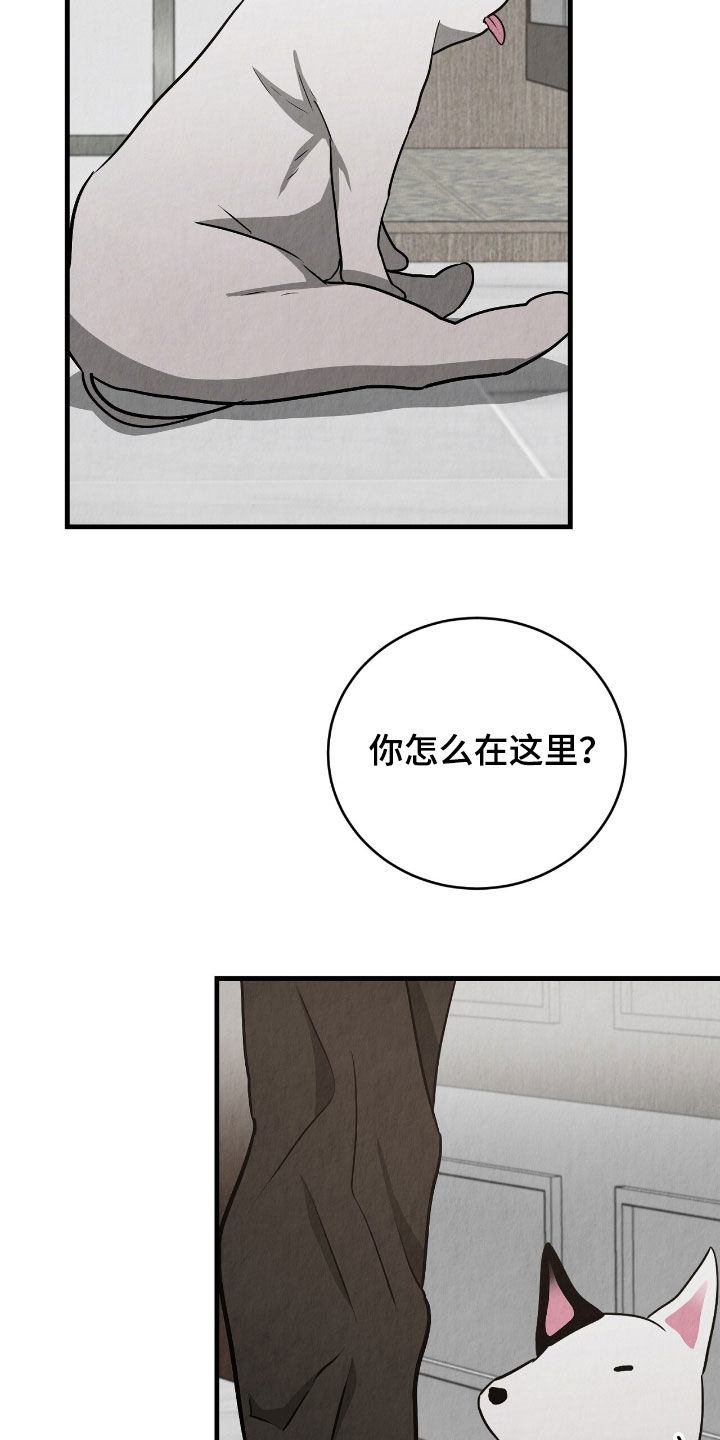 社畜的微信铃声漫画,第66话2图