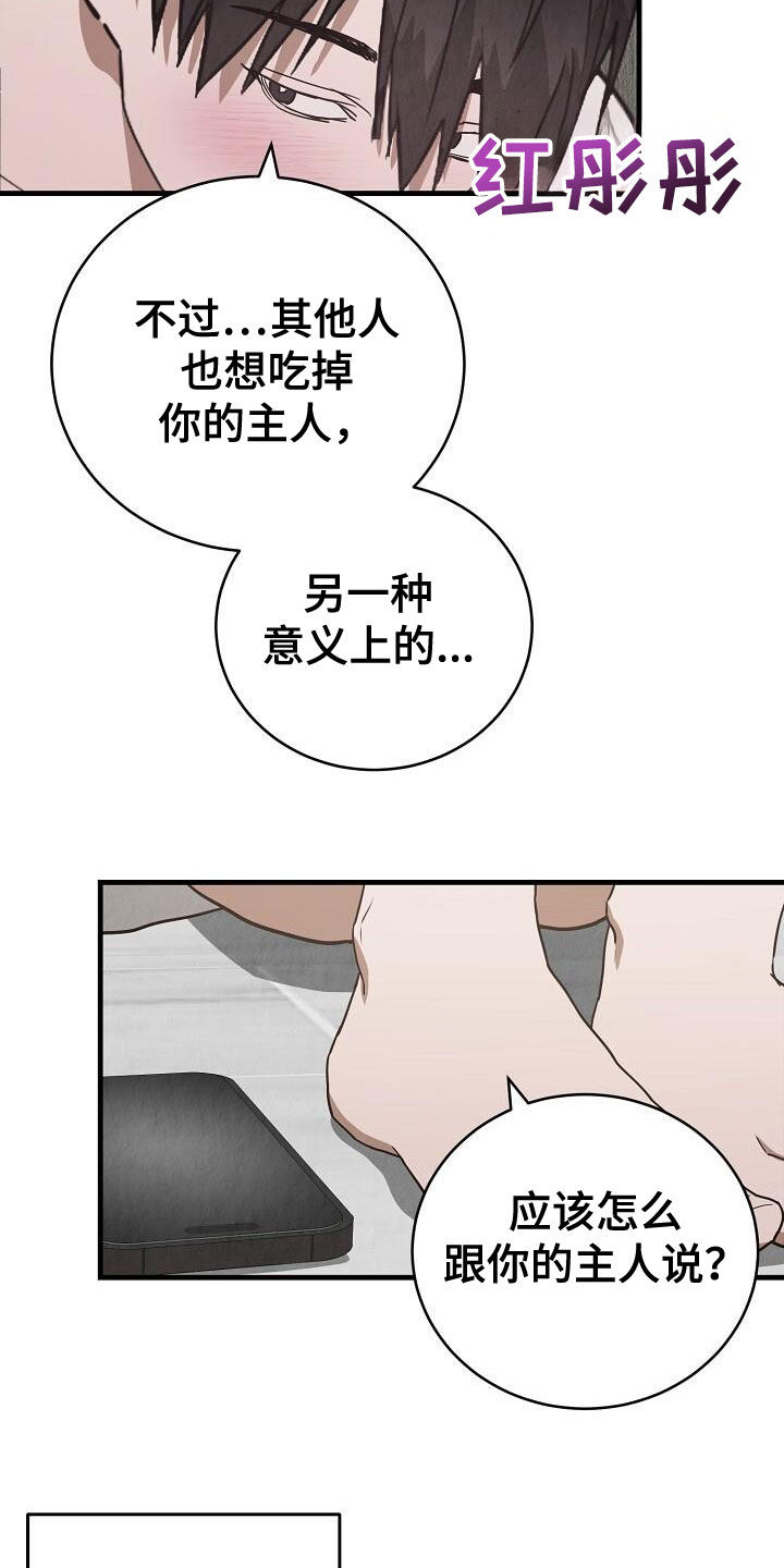 社畜的春天漫画,第52话2图