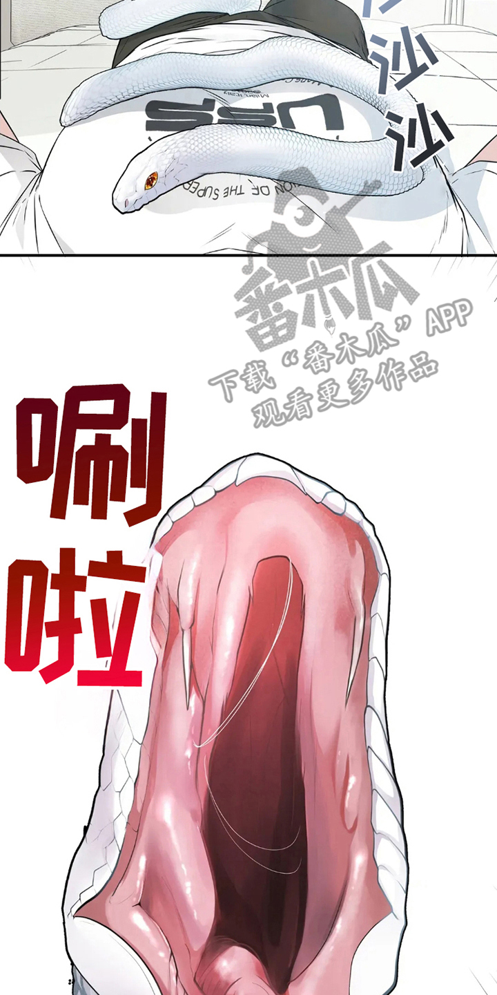 侍奉的蛇神漫画,第12话2图