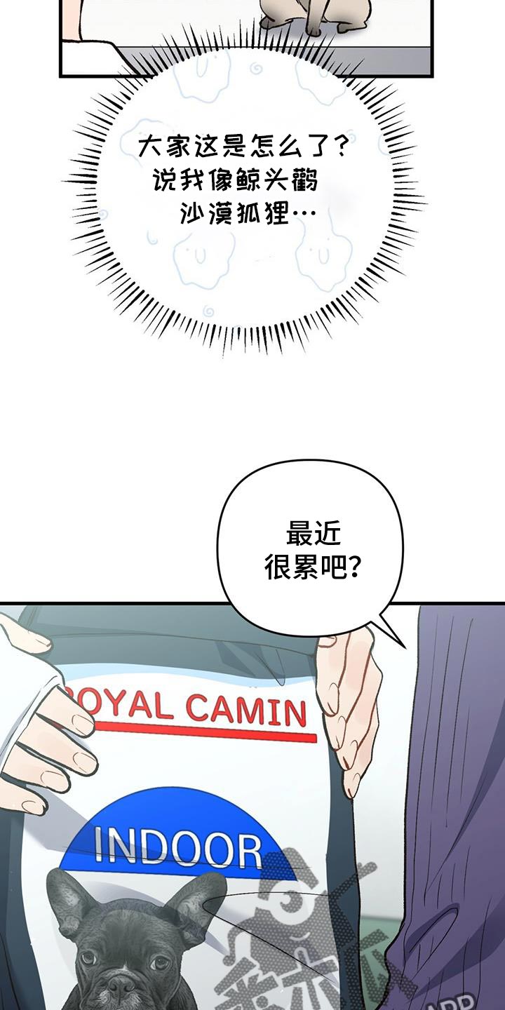 快穿救赎治愈反派类小说漫画,第58话2图