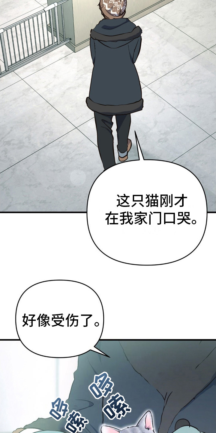 快穿救赎治愈类小说漫画,第8话1图