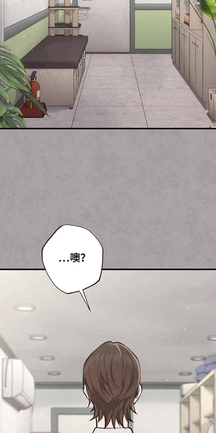 快穿救赎漫画,第51话2图