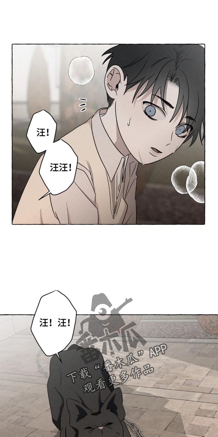 血族囚笼未增减板免费漫画,第49话2图