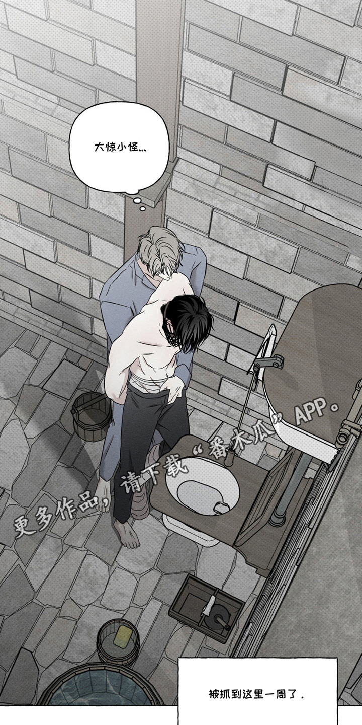 血族囚笼未增减板免费漫画,第8话2图