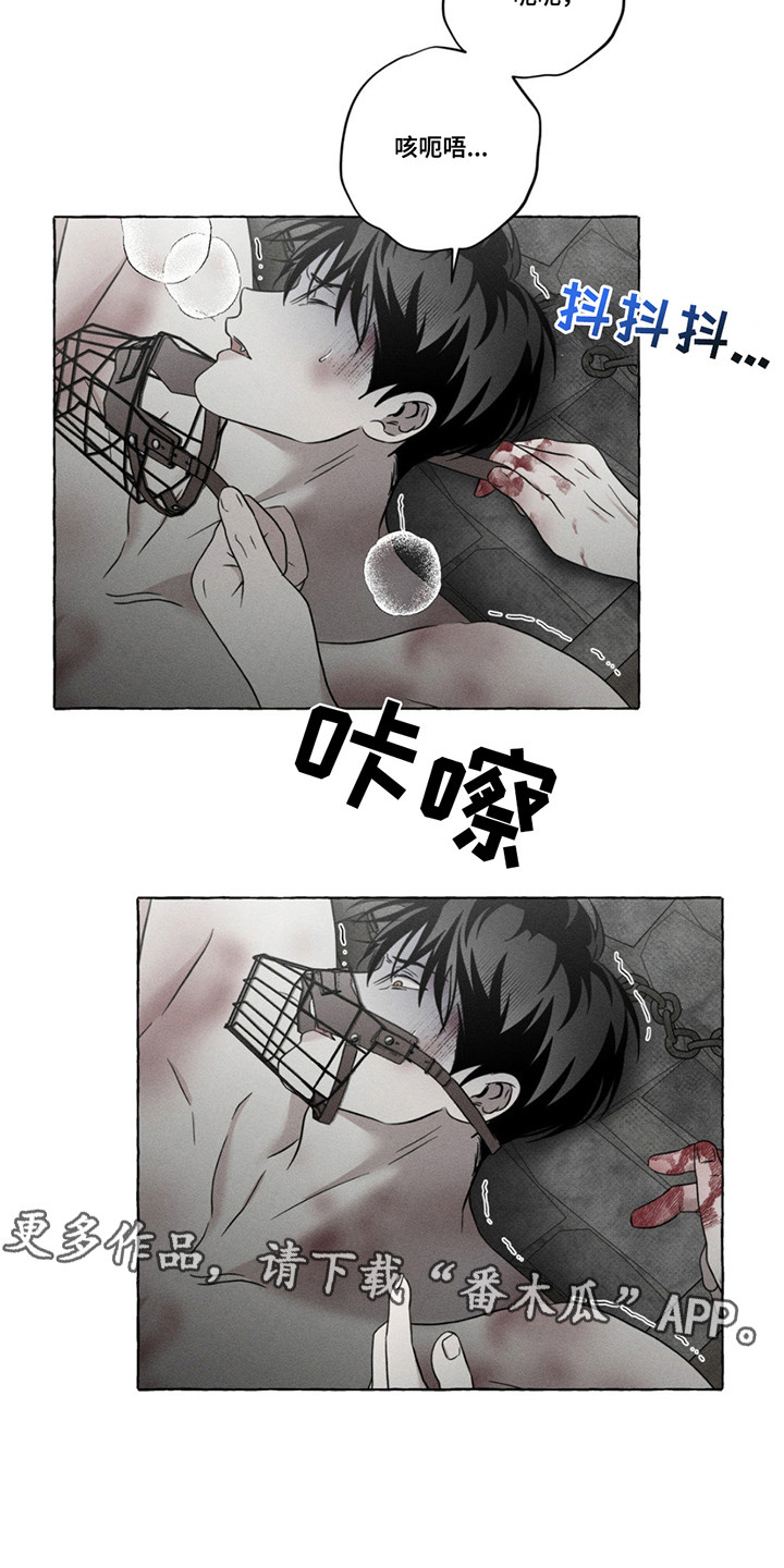 血族囚笼未增减板免费漫画,第6话1图