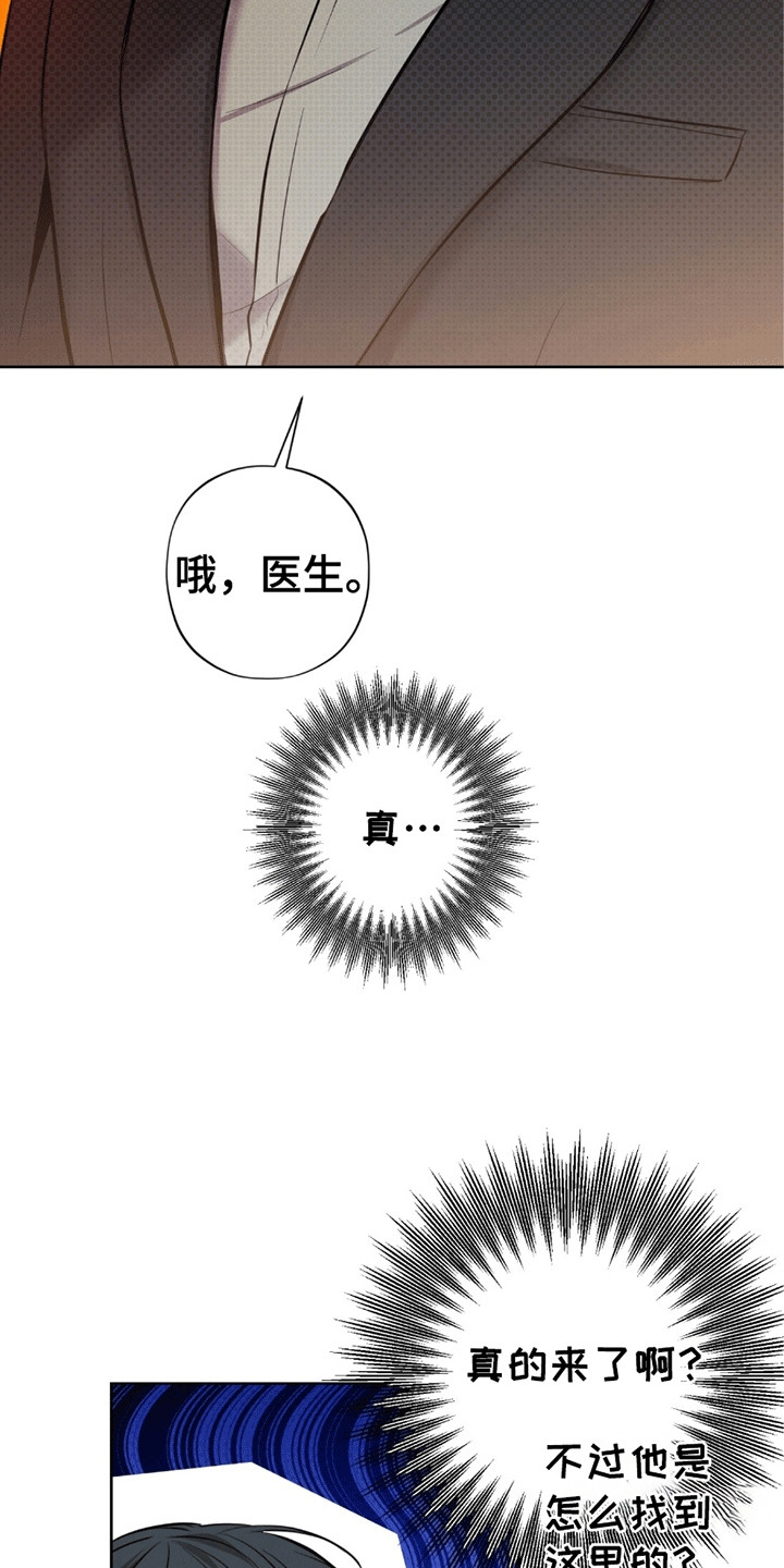医生大佬是白切黑全文免费阅读漫画,第10话1图