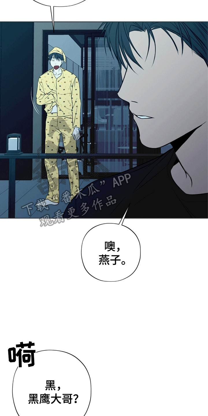 医生大佬是白切黑全文免费阅读漫画,第8话1图