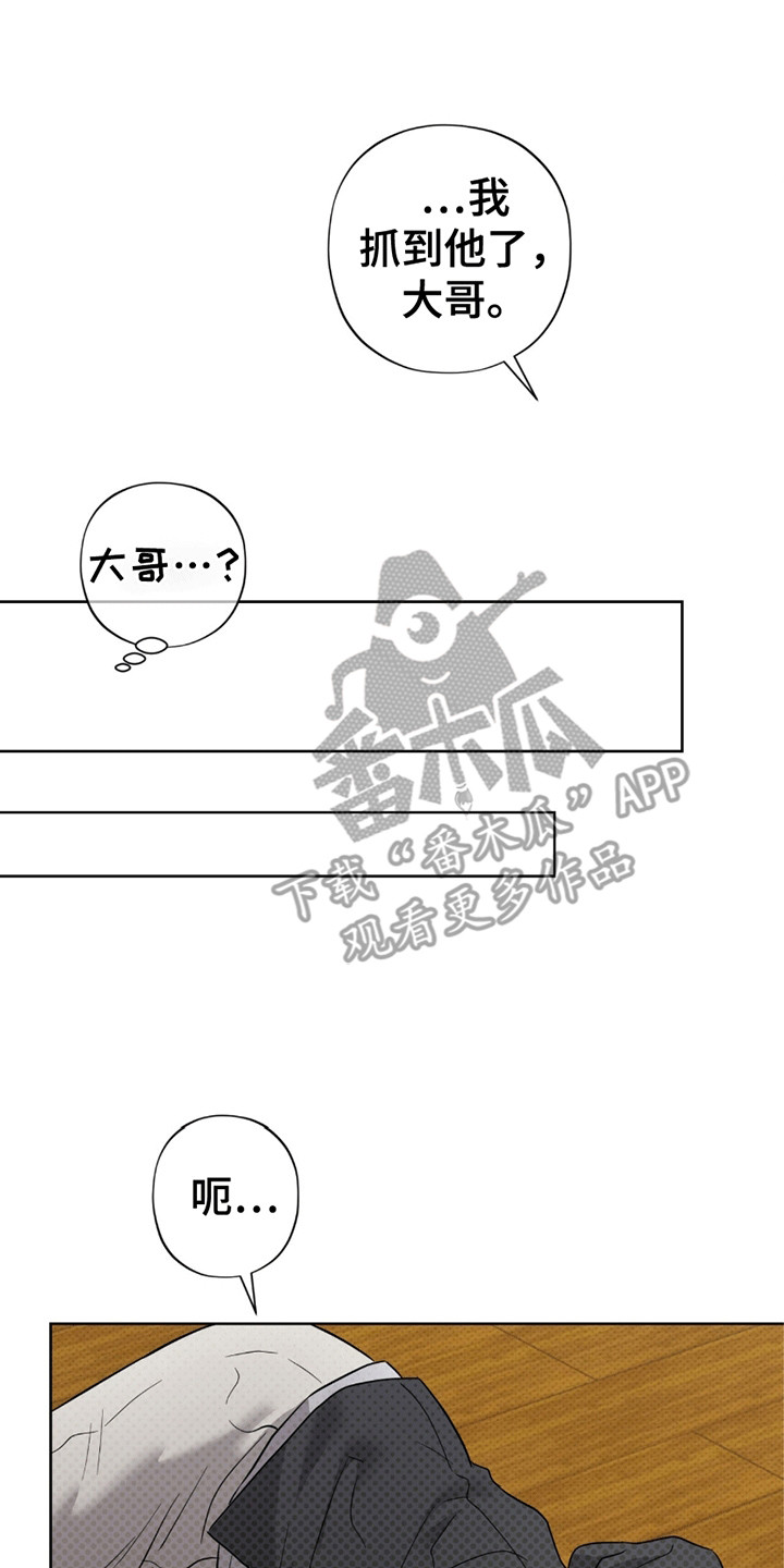 医生大佬是白切黑全文免费阅读漫画,第18话2图