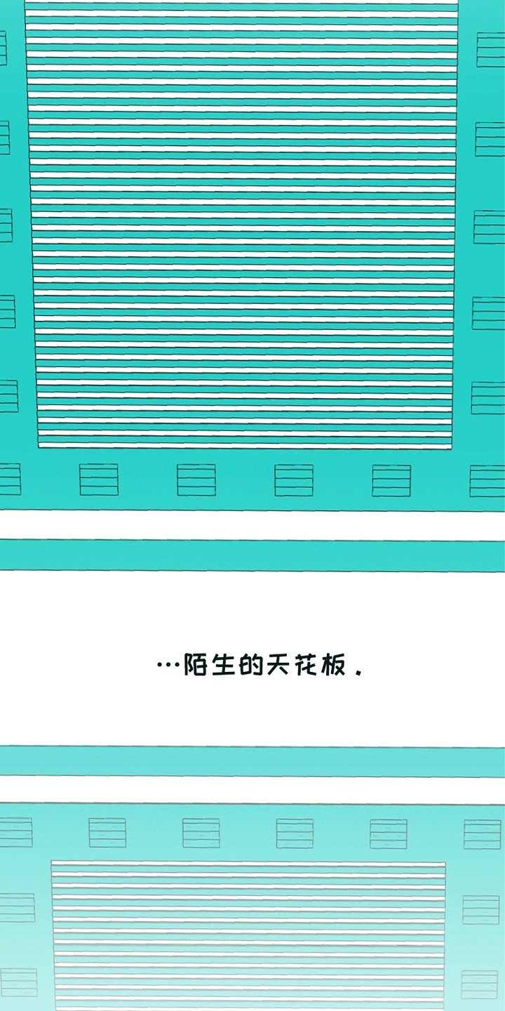 医生大佬是白切黑全文免费阅读漫画,第4话1图