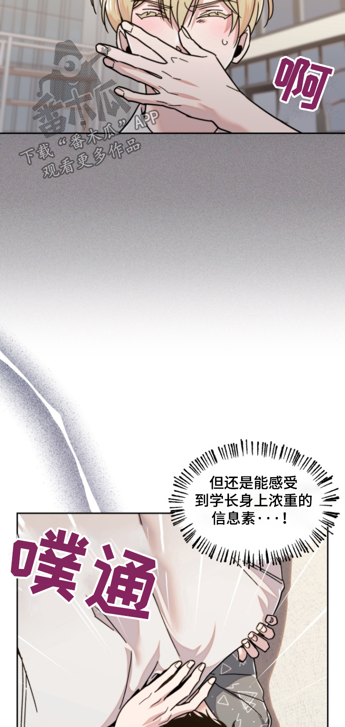 邻家王子漫画免费全部漫画,第19话2图