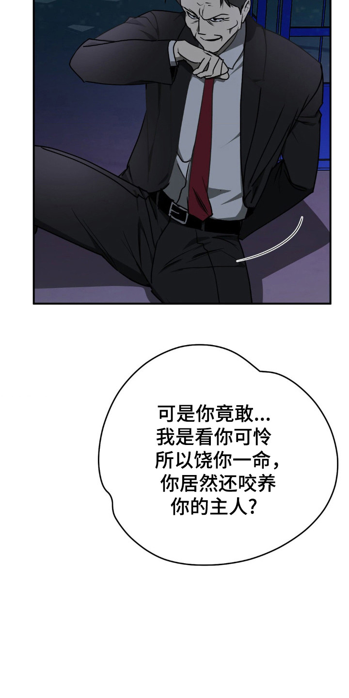 命令统治漫画,第20话1图